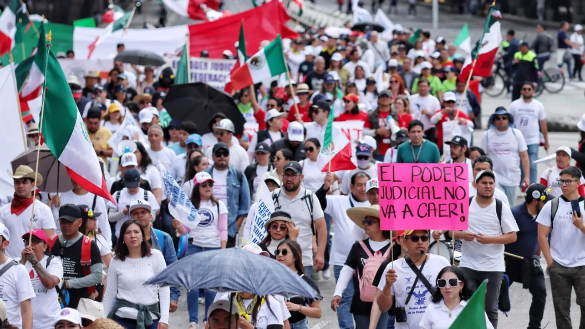 trabajadores PJF